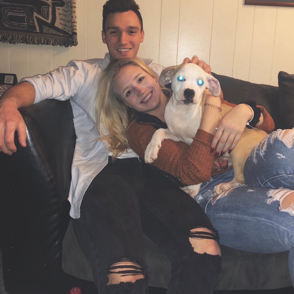 Meet your Posher, Joe